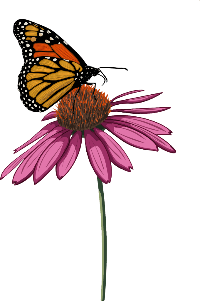 monarch meadows transparent vector logo